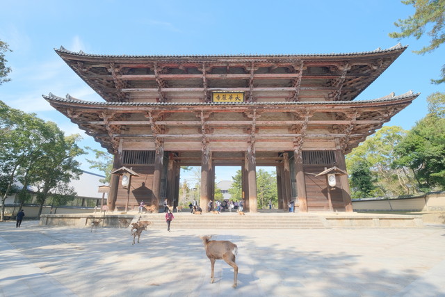 修学旅行以来の東大寺の奈良の大仏 ひとり旅diary
