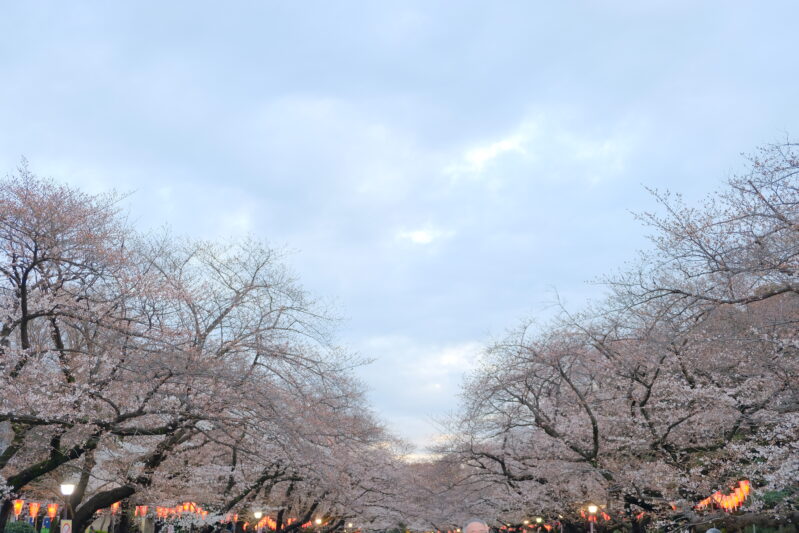 DSCF5686