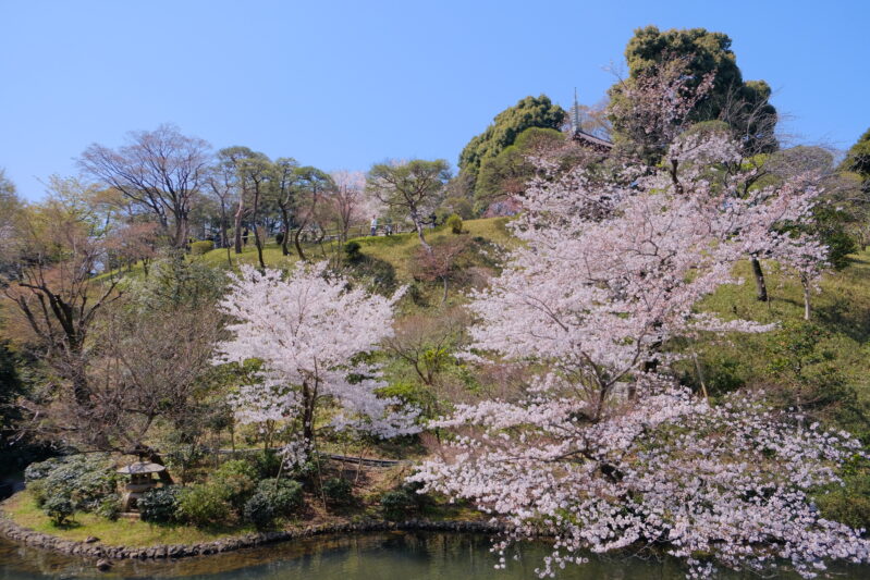 DSCF5880