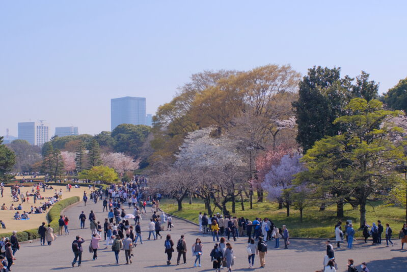 DSCF5966