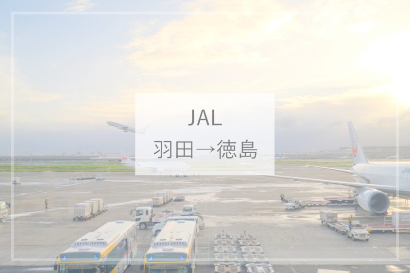 Jal搭乗機 羽田空港から徳島空港までの飛行機の旅 ひとり旅diary