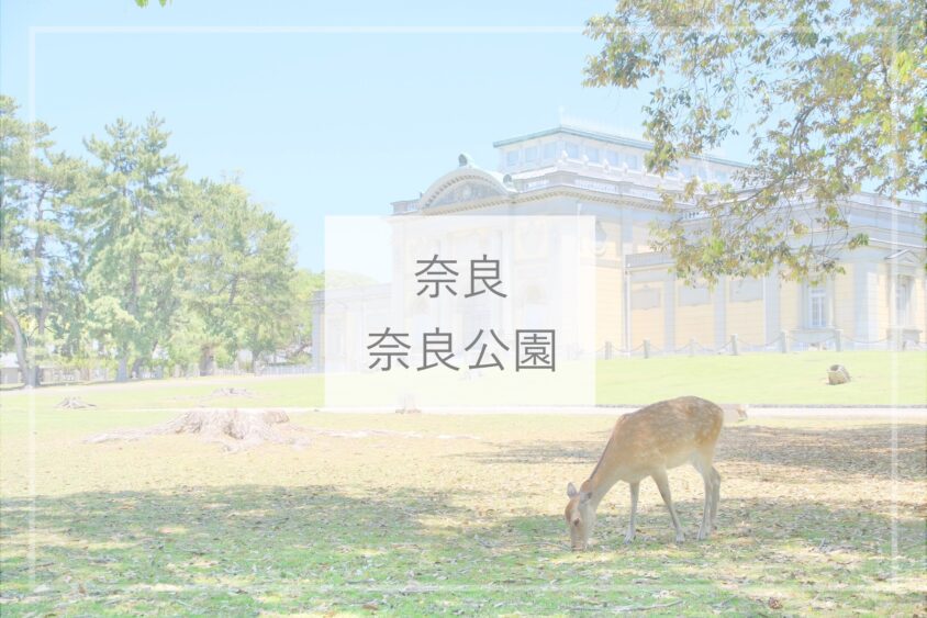 奈良観光 奈良公園の鹿と散歩 ひとり旅diary