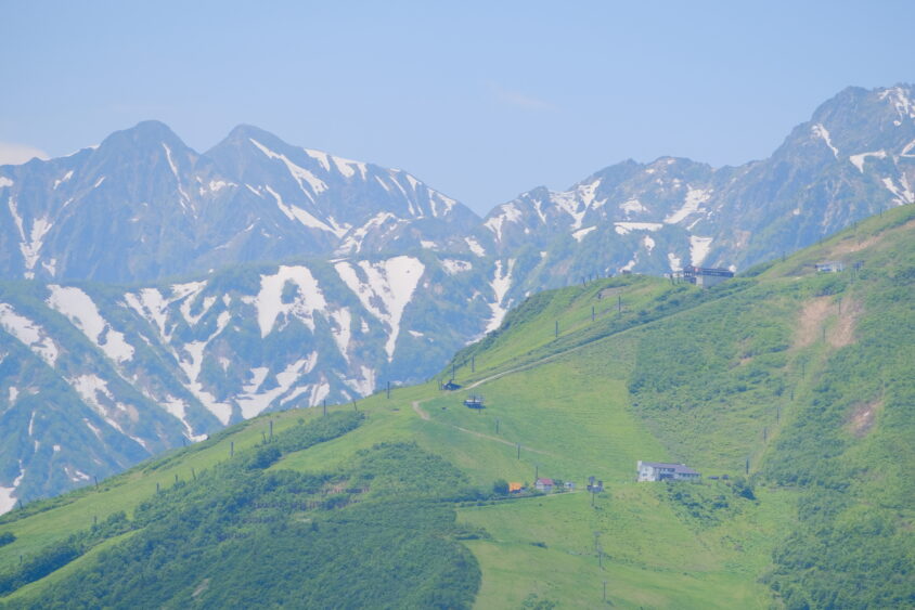 DSCF5313