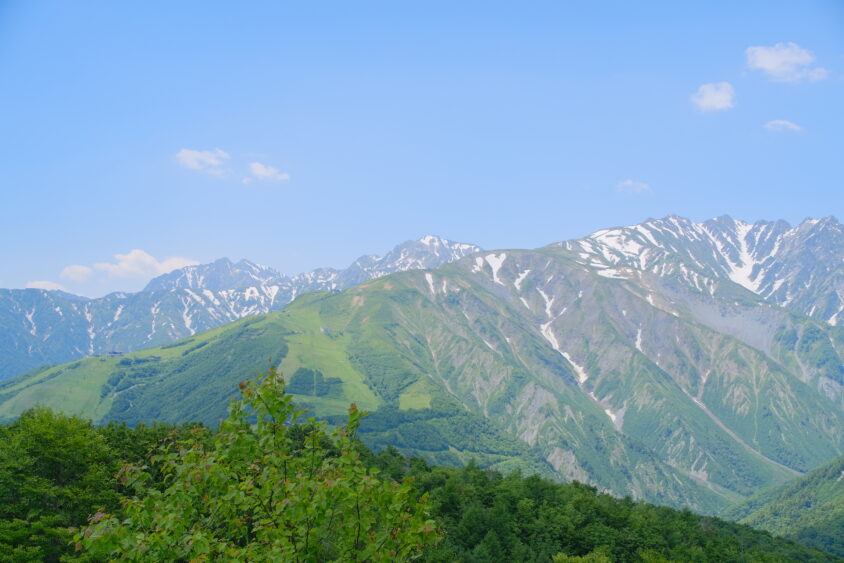DSCF5314