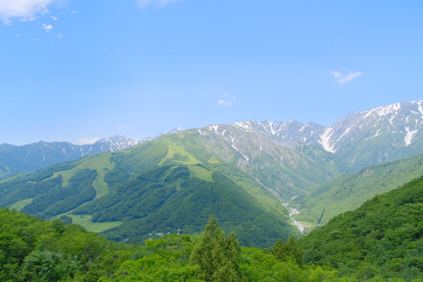 DSCF5331