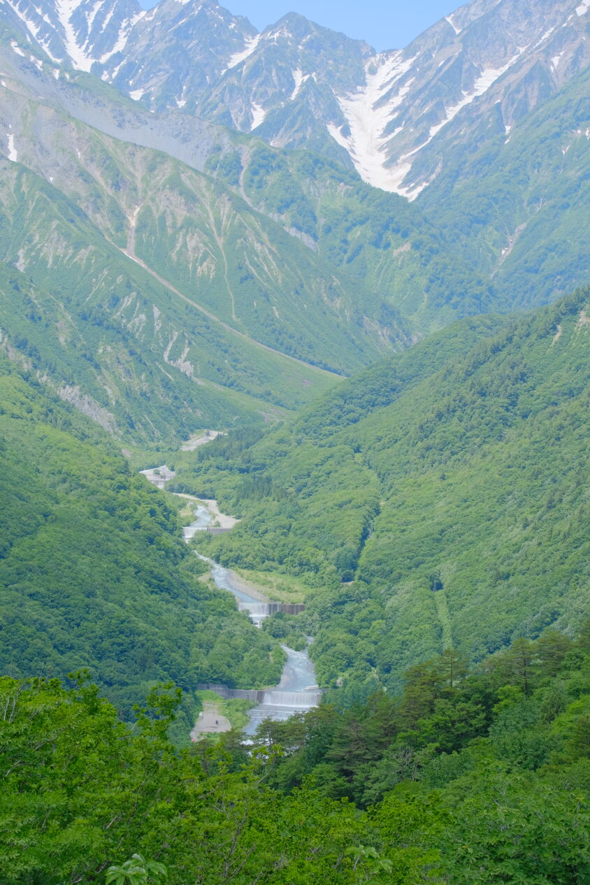 DSCF5335