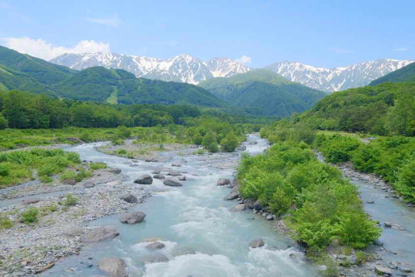 DSCF5464