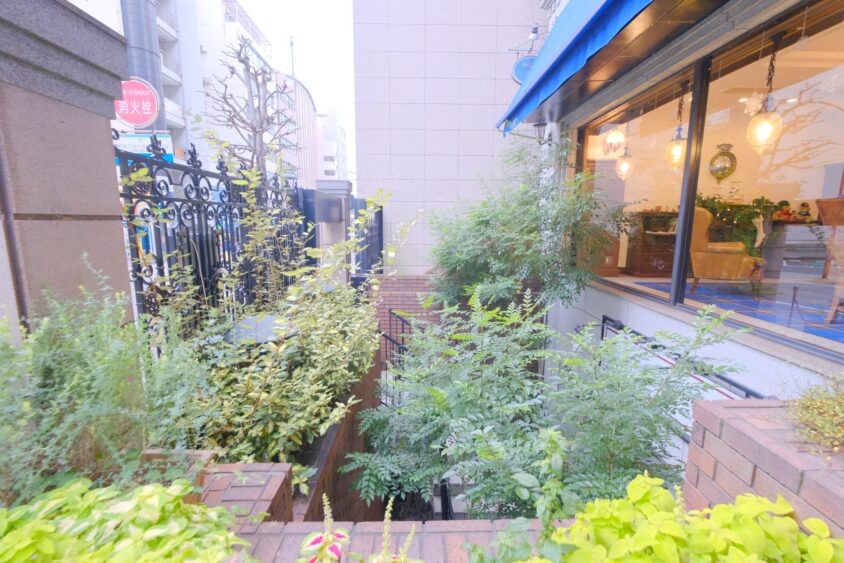 DSCF2853