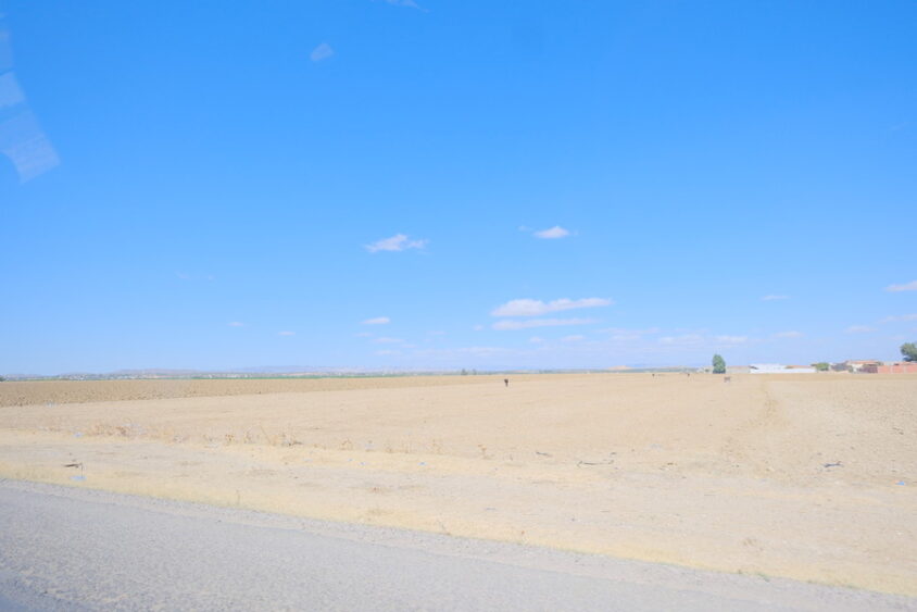 DSCF2465