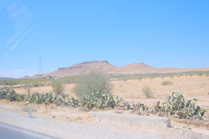 DSCF2466