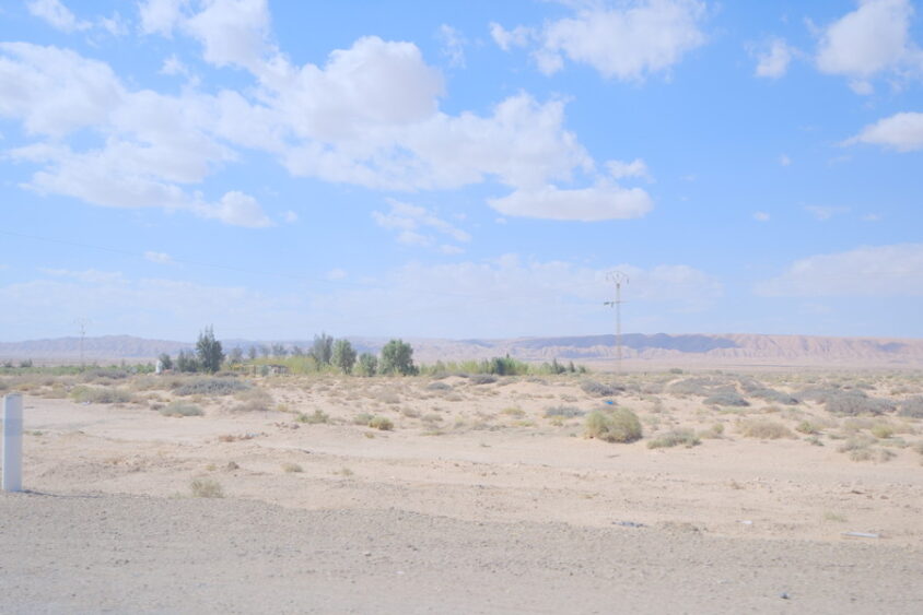 DSCF2474