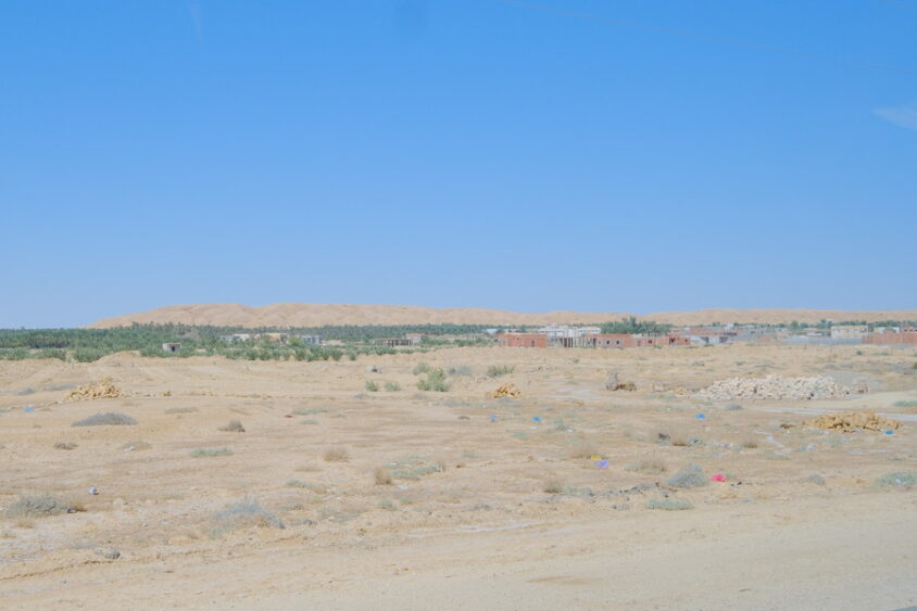 DSCF2573