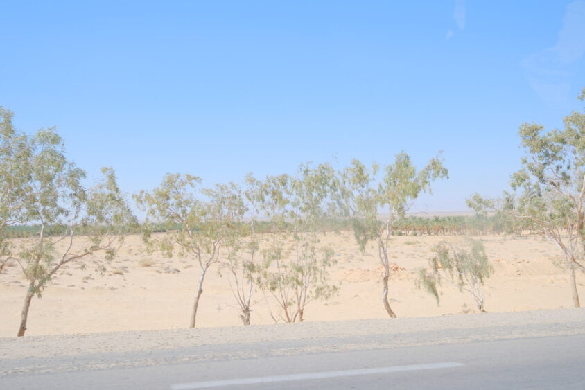 DSCF2625