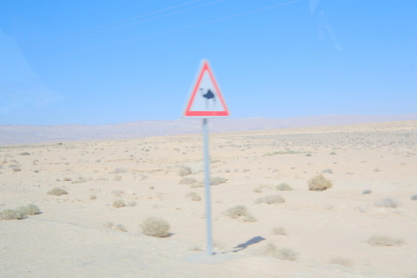 DSCF2626