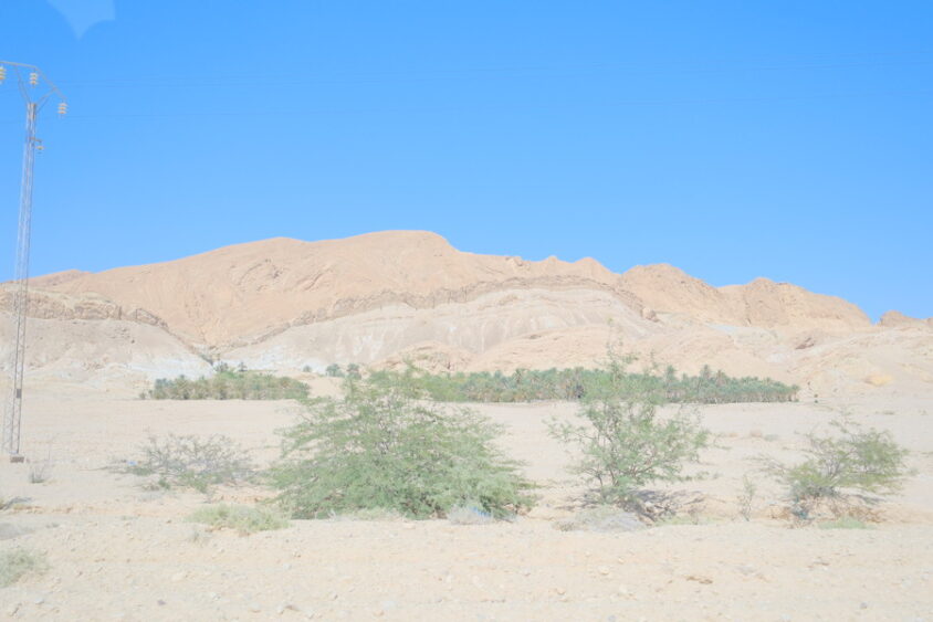 DSCF2627