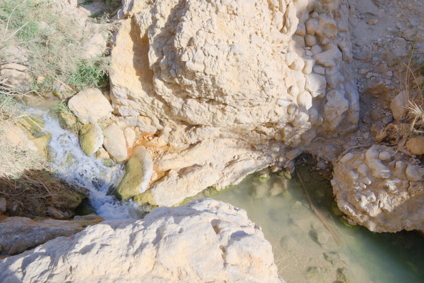 DSCF2727