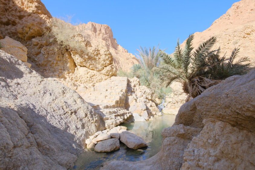 DSCF2728