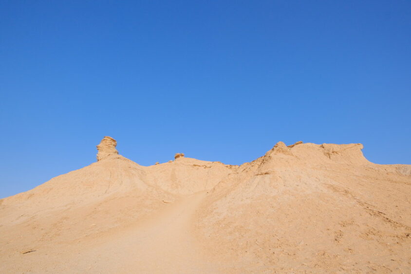 DSCF2764