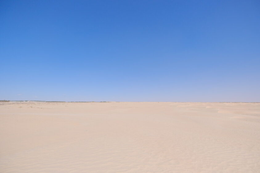DSCF2845