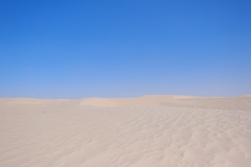 DSCF2852-1
