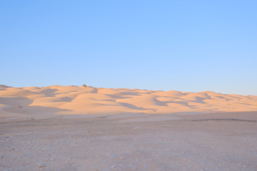 DSCF3598