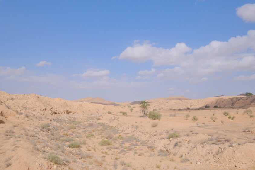 DSCF3791