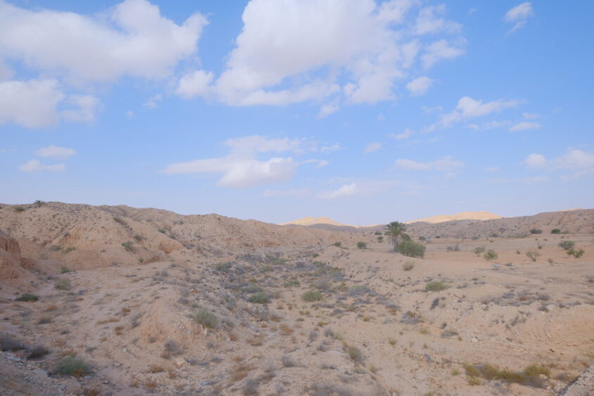 DSCF3819