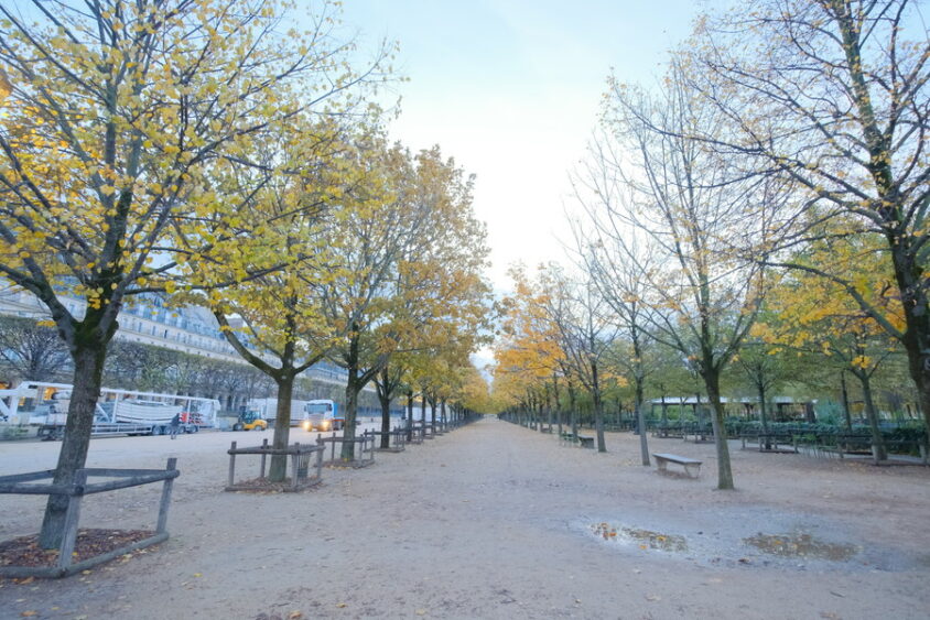 DSCF5716