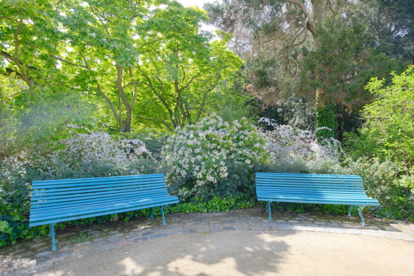 DSCF6740